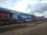 RUMO 695